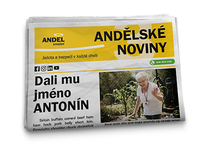 AS_Newspaper_cover_sm