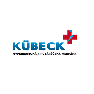 Hlavni partner logo kubeck