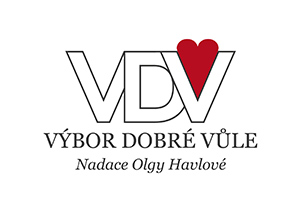 VDV logo 2017 sm