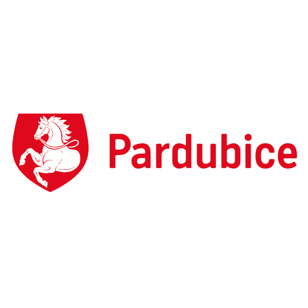 Pardubice nás podporuje, Anděl Strážný, senior